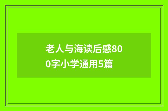 老人与海读后感800字小学通用5篇