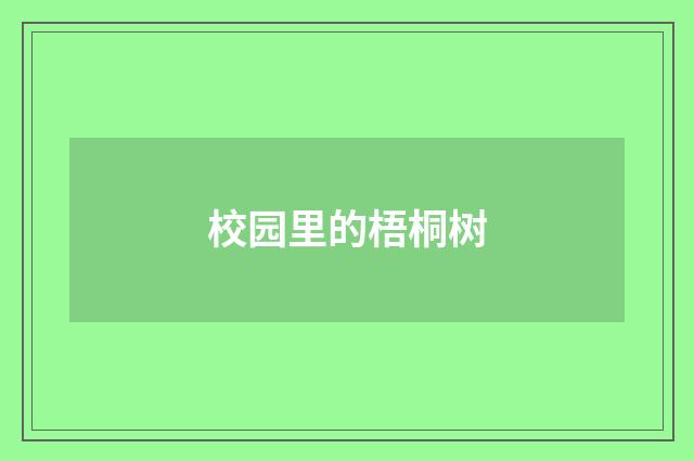 校园里的梧桐树