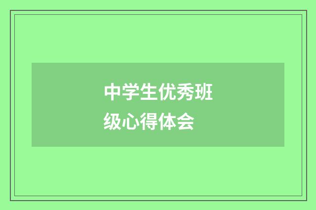 中学生优秀班级心得体会