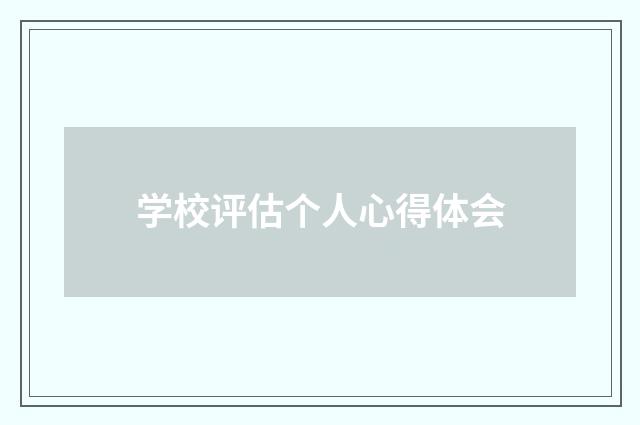 学校评估个人心得体会