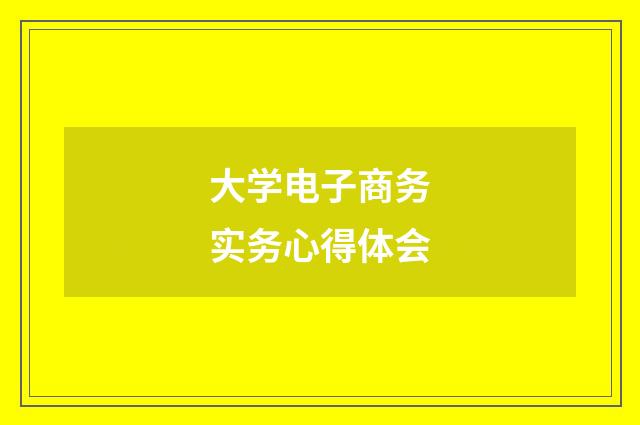 大学电子商务实务心得体会