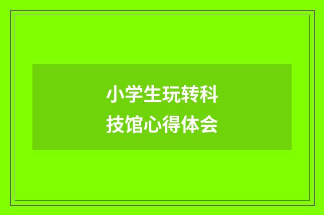 小学生玩转科技馆心得体会