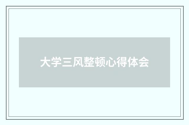 大学三风整顿心得体会