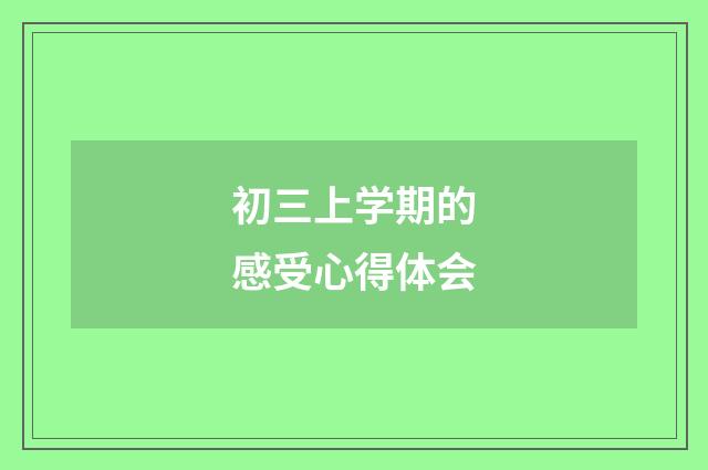 初三上学期的感受心得体会
