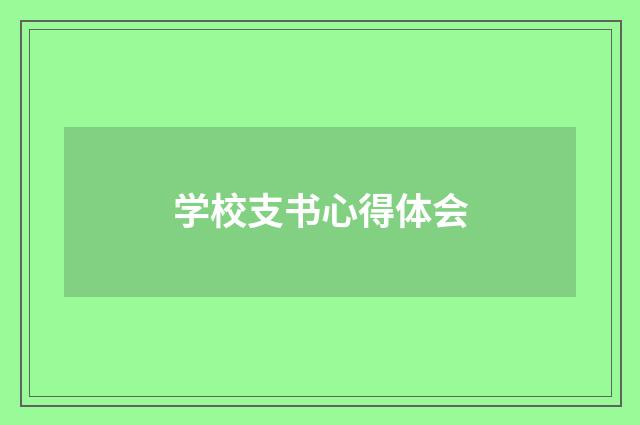 学校支书心得体会