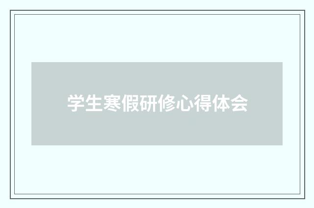 学生寒假研修心得体会