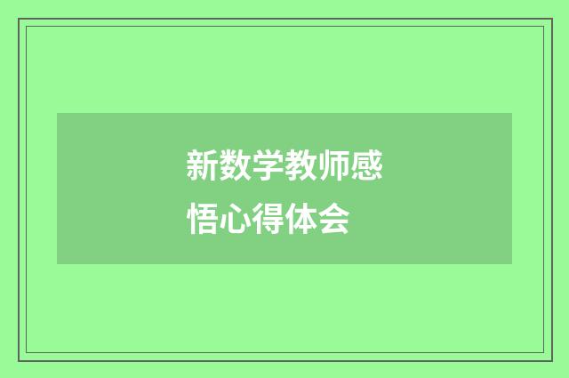 新数学教师感悟心得体会