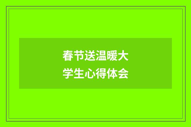 春节送温暖大学生心得体会