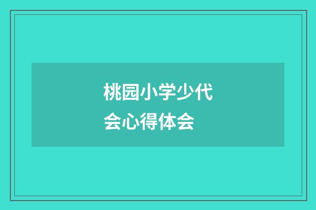 桃园小学少代会心得体会