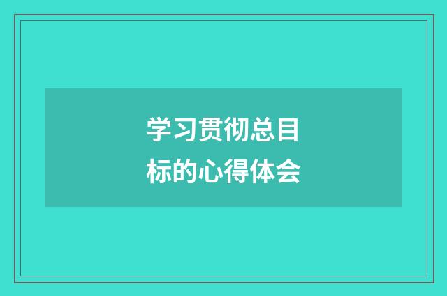 学习贯彻总目标的心得体会