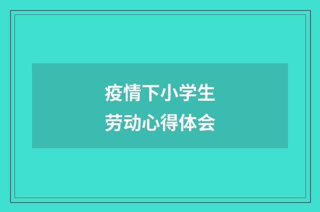 疫情下小学生劳动心得体会