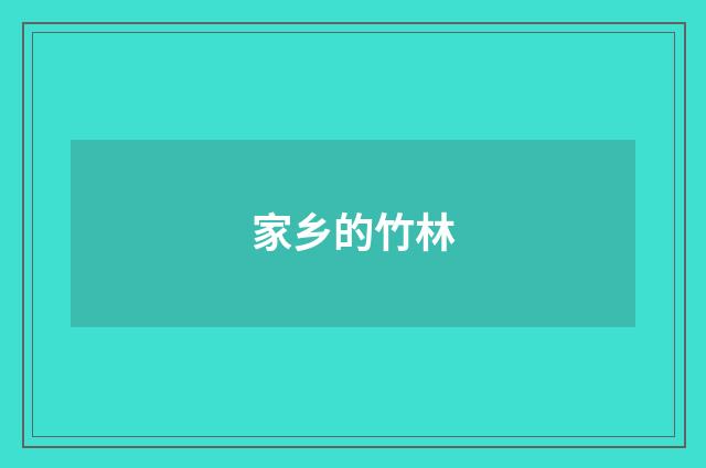 家乡的竹林