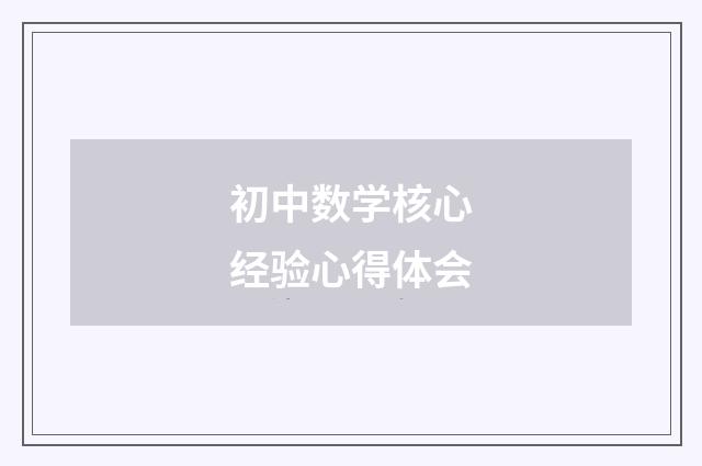 初中数学核心经验心得体会