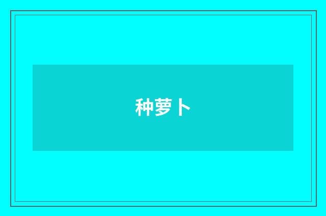 种萝卜