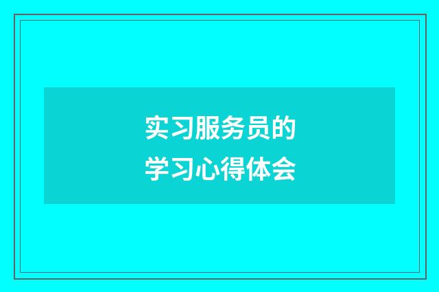 实习服务员的学习心得体会