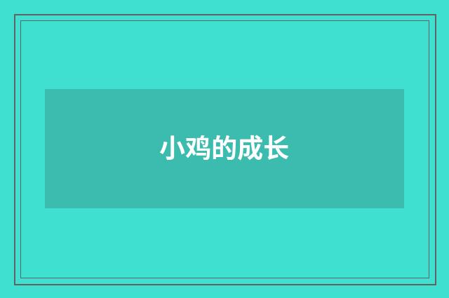 小鸡的成长