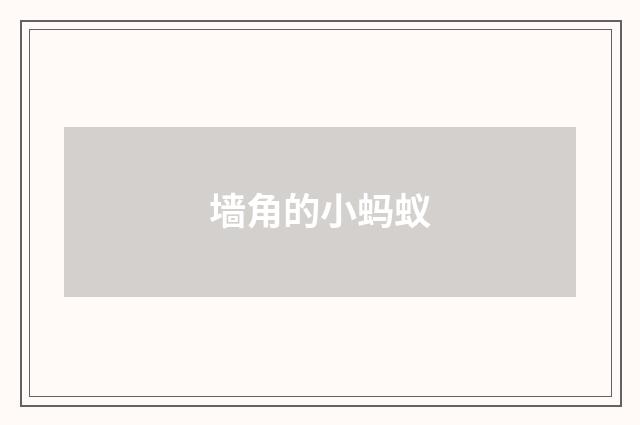 墙角的小蚂蚁