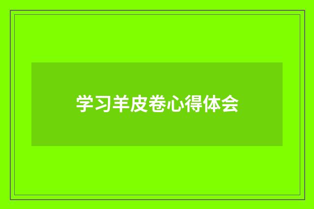 学习羊皮卷心得体会