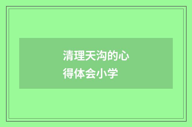 清理天沟的心得体会小学