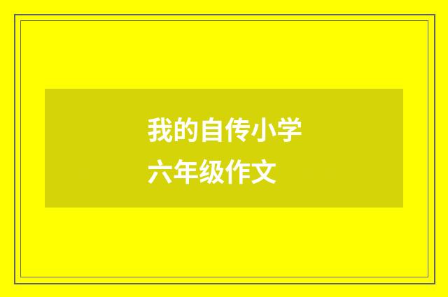 我的自传小学六年级作文