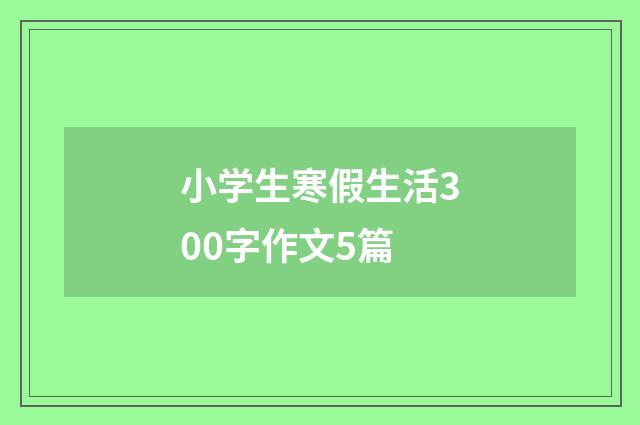 小学生寒假生活300字作文5篇
