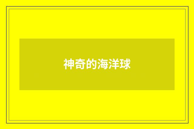 神奇的海洋球