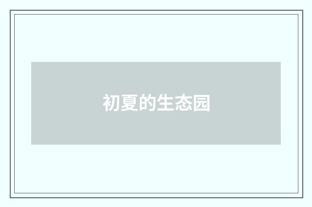 初夏的生态园