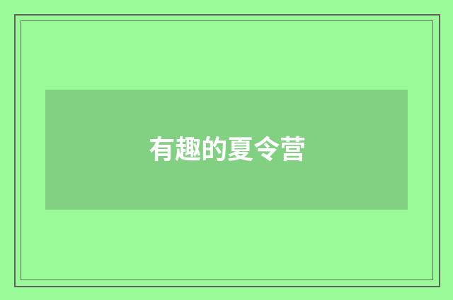 有趣的夏令营