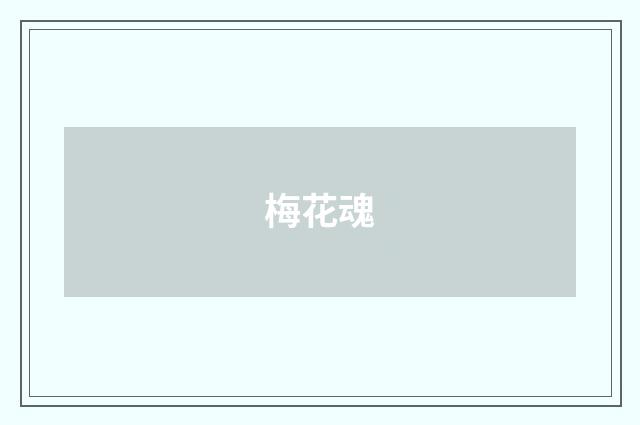 梅花魂