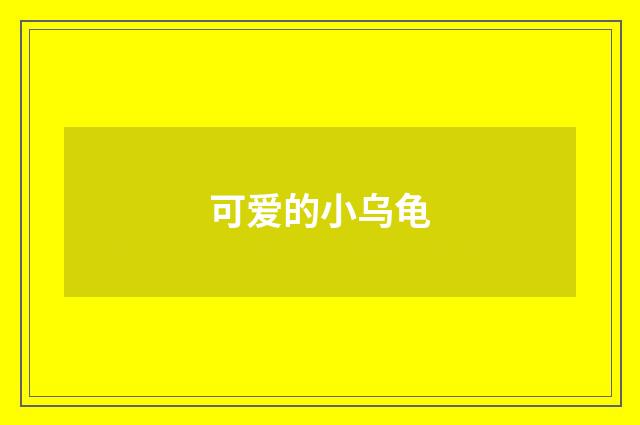 可爱的小乌龟