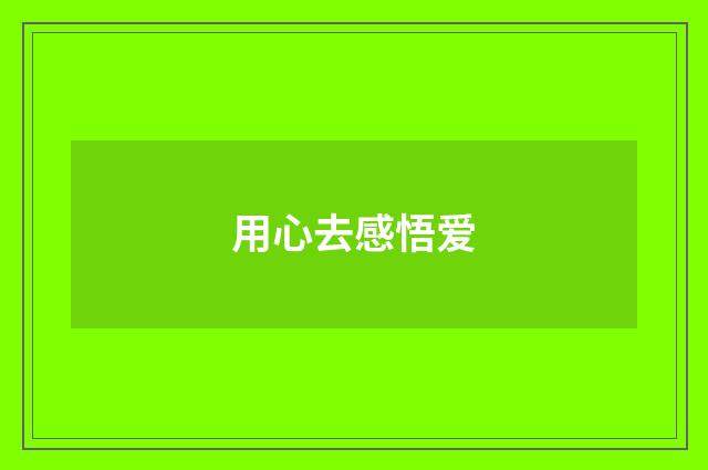 用心去感悟爱