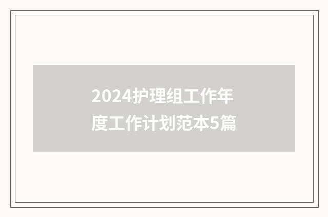 2024护理组工作年度工作计划范本5篇