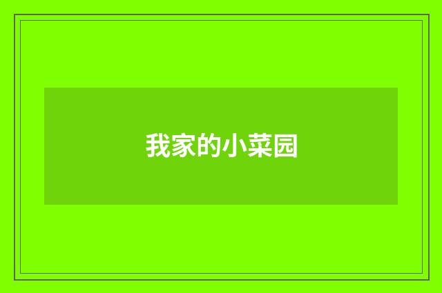 我家的小菜园