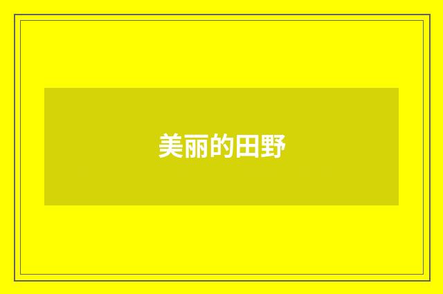 美丽的田野