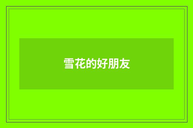 雪花的好朋友