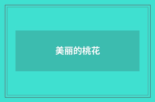 美丽的桃花