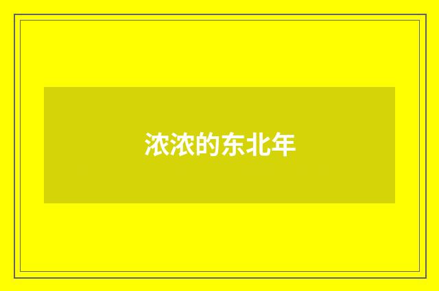 浓浓的东北年