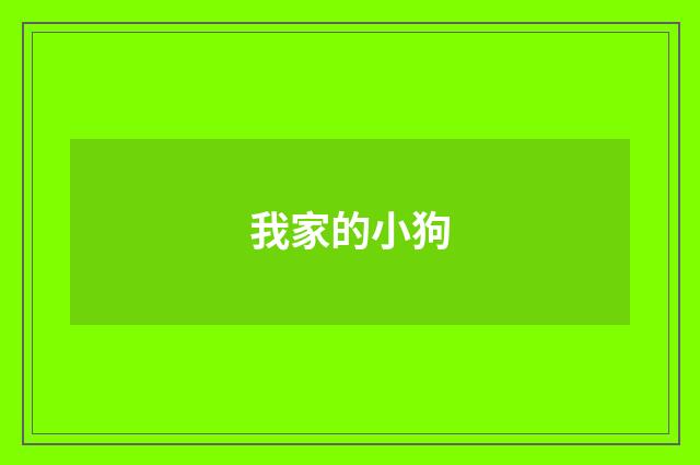 我家的小狗