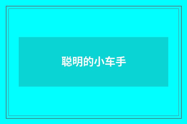 聪明的小车手