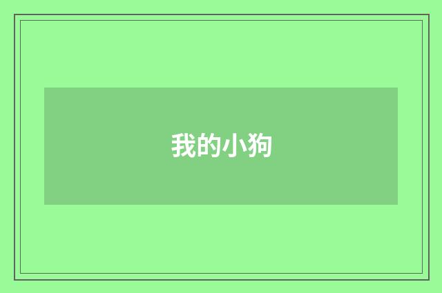 我的小狗