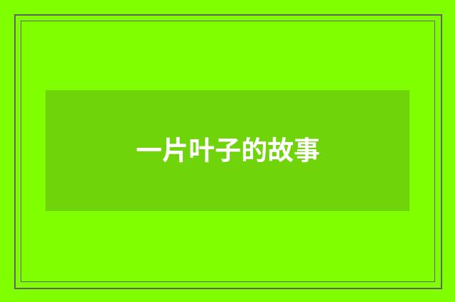 一片叶子的故事