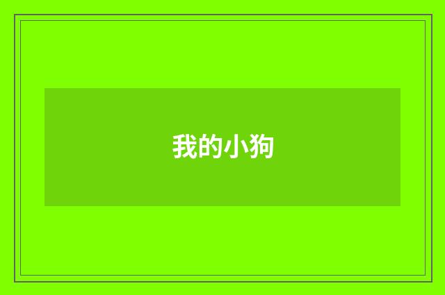 我的小狗