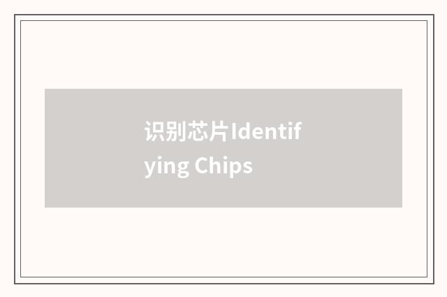 识别芯片Identifying Chips