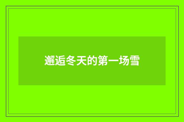 邂逅冬天的第一场雪