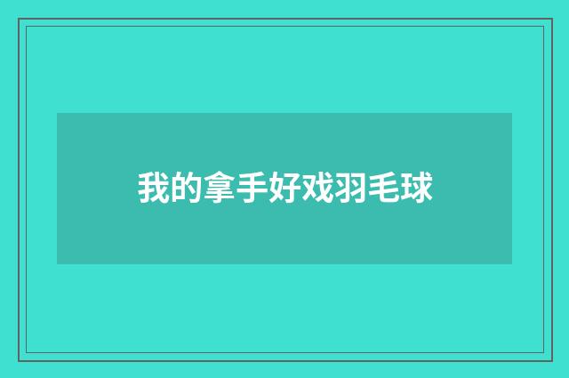 我的拿手好戏羽毛球