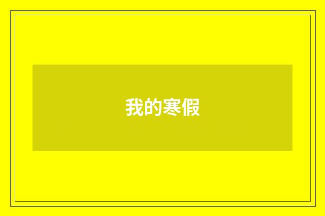 我的寒假