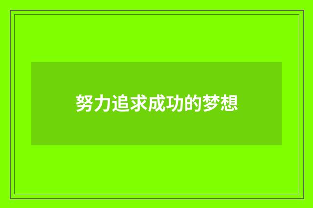 努力追求成功的梦想
