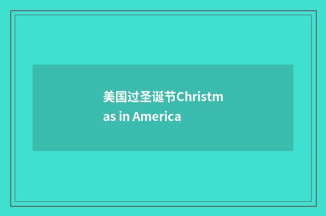 美国过圣诞节Christmas in America