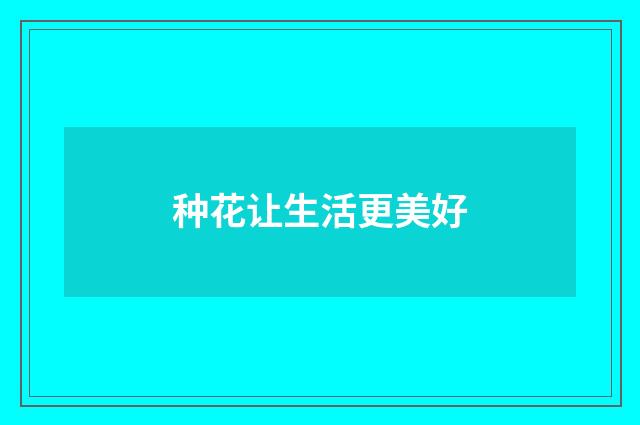种花让生活更美好