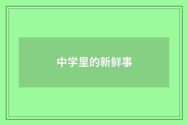 中学里的新鲜事
